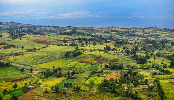 Piece of Paradise:  Land in Eldoret