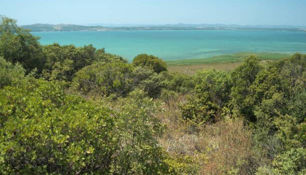 Coastal Charm: Kanamai Land Sale