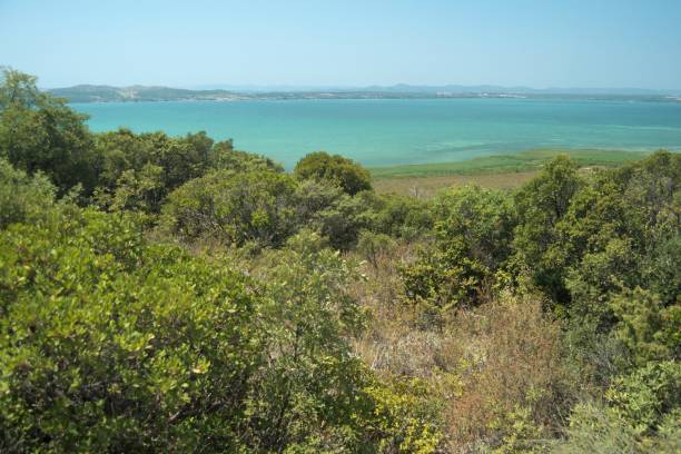 Coastal Charm: Kanamai Land Sale