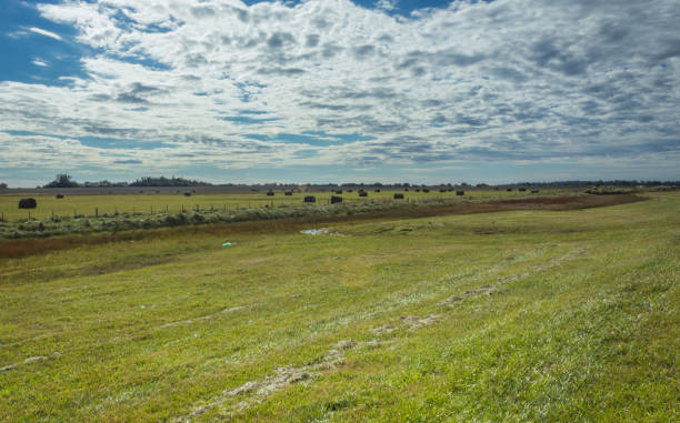 Rongai: Unveiling Land Investment