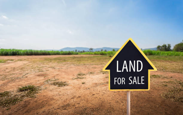 Mawanga: Exploring Land Investment