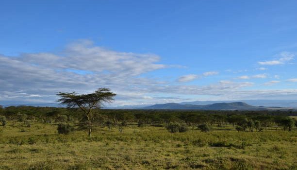 Seize Opportunity of Land  in Nakuru