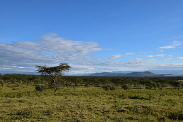 Seize Opportunity of Land  in Nakuru