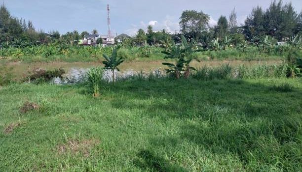 Tranquility: Kogony Land Sale