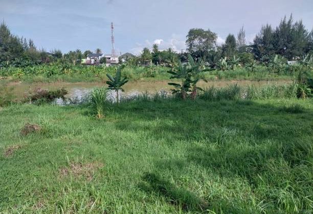 Tranquility: Kogony Land Sale