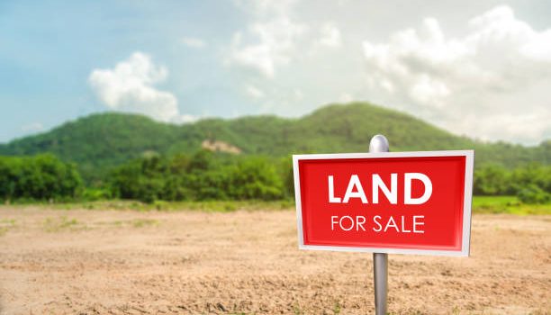 Lanet: Unveiling Land Investment