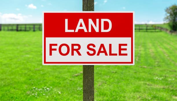 Discover Choices: Nanyuki Land Sale