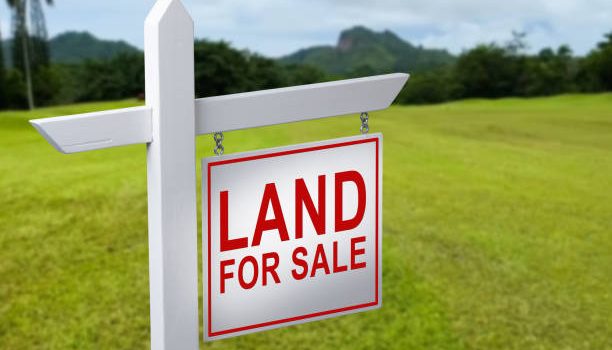 Grab Your Chance: Ruiru Land Sale.