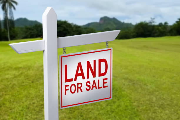 Grab Your Chance: Ruiru Land Sale.