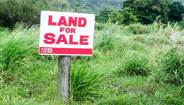 Kiamunyi: Unlocking Land Investment