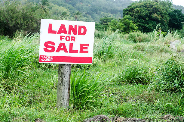 Kiamunyi: Unlocking Land Investment