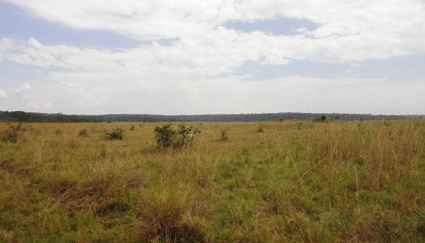 Nairobi Land Sale: Prime Investment!