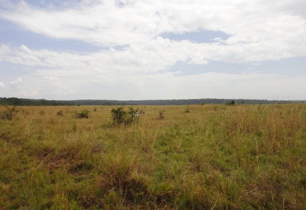 Nairobi Land Sale: Prime Investment!