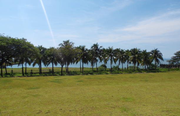 Seaside Paradise: Galu Land Sale