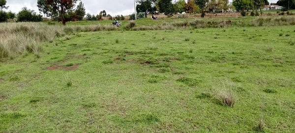 Prime Land for Sale in Egerton, Njoro