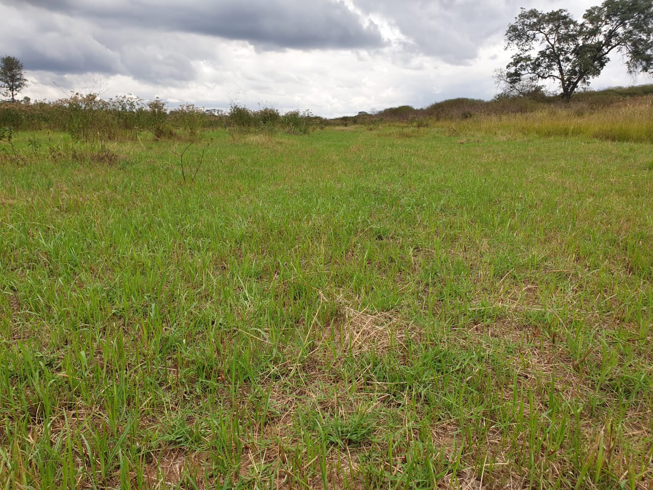 land for sale in Homa Bay