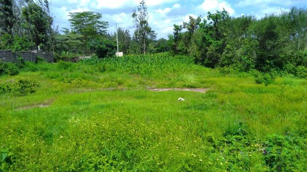 Land for Sale in Athi River, Kenya