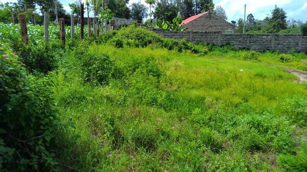 land for sale in Githunguri