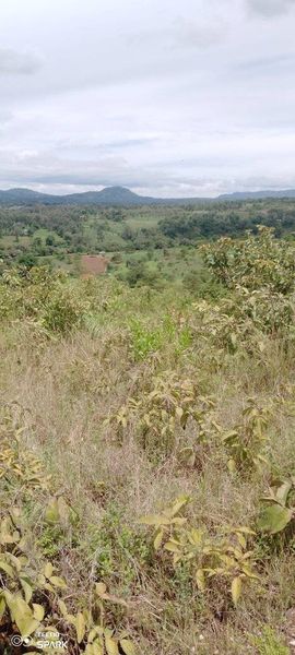 land for sale in Sabaki